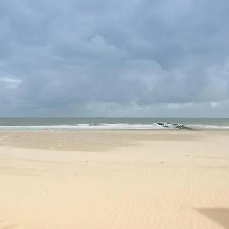 Crevette, Voor 6 Personen