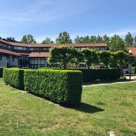 Crevette, Voor 6 Personen *