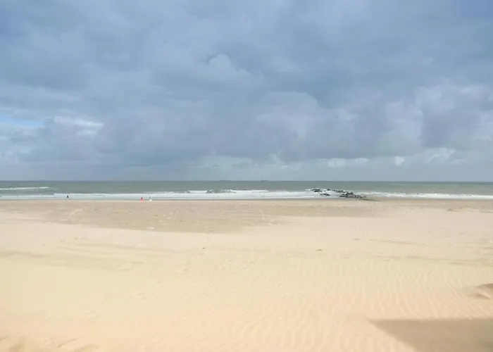 Crevette, Voor 6 Personen